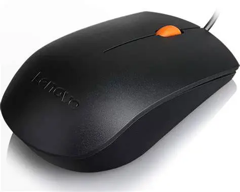 [847330028] Lenovo USB Mouse GX30M0039704
